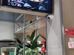 -鸣记脆皮烤鱼(岐山路店)