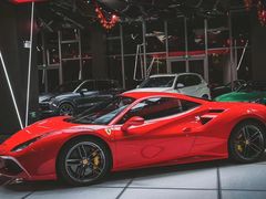 -超跑熊跑车俱乐部