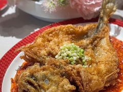 -圆苑(静安寺店)