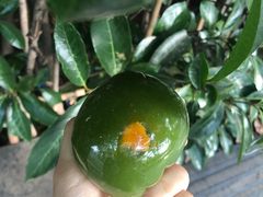 -许阿姨糕团店(南京总店)