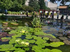 -莲花池公园