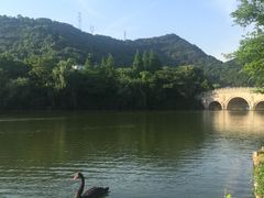 -杭州世外桃源君澜度假酒店