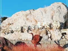 -北京西山国家森林公园