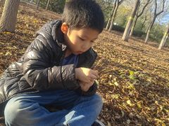 -永定河休闲森林公园