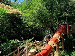 -北京西山国家森林公园