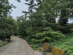 -泰丰公园