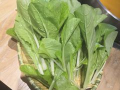 -小饕荟养生火锅(仁和·熙春郡店)
