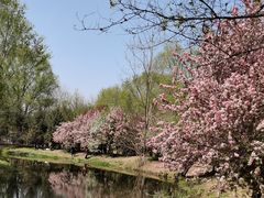 -长白岛森林公园