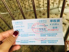 -广东惠东海龟国家级自然保护区