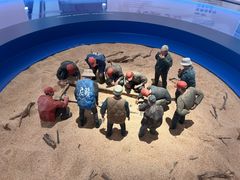 -精绝七日-新疆尼雅遗址数字大展【拉法耶文化艺术中心】