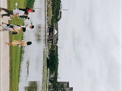 -松山湖南湖湾露营营地