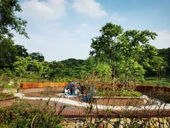 -镇江市南山风景名胜区竹林景区