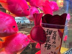 -朱光玉火锅馆(正弘城店)