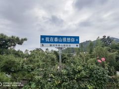 -蘇河湾·新鲁菜·泰山宴(泰山店)