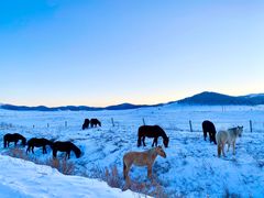 -塞罕坝国家级自然保护区