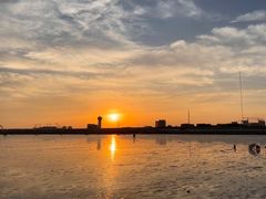 -南汇新城海滩