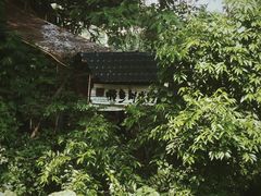 -懒鱼时光馆(沙坪坝店)
