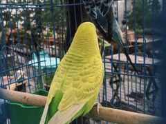 -南京夫子庙国际青年旅舍(平江府路店)