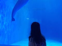 -多彩贵州城极地海洋世界