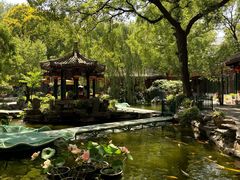 -白家大院·王府宫廷菜(苏州街店)