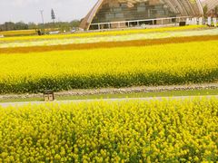 -中国天府农业博览园