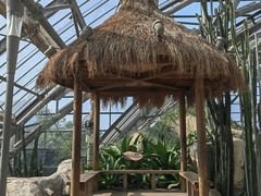 -南山植物园