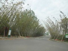 -云幽谷旅游区