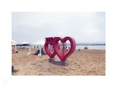 -碧海金沙