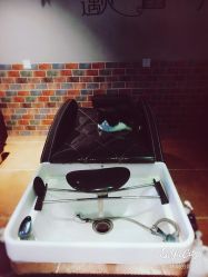 -Ly形象设计