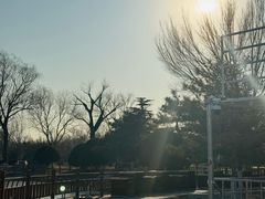 -燕郊植物园