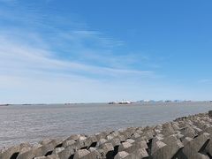 -上海滨江森林公园