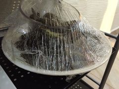 -海大大蒸汽海鲜餐厅·粤菜·特色小炒(欢乐颂店)