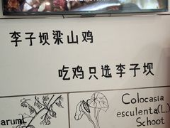 -李子坝梁山鸡(北碚万达五鸡哥店)