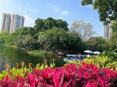 -晓港公园