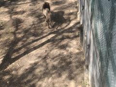 -泉州海丝野生动物世界