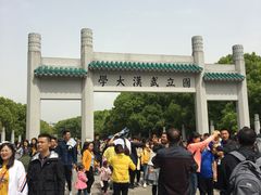 -武汉大学-樱园