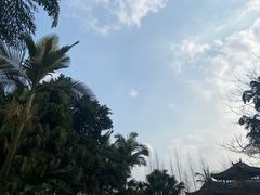 -重庆园博园