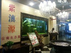 android_upload_pic-紫滇源云南生态菜