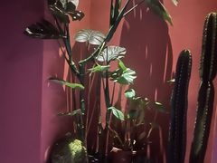 -泰融玺·泰式按摩SPA(包河万达店)