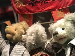 -济州岛泰迪熊博物馆