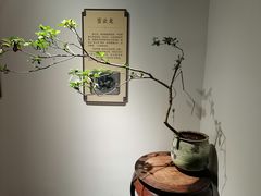 -中华世纪坛