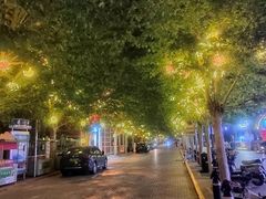 -天津五大道文化旅游区