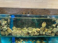 -良师门滨海人家·海鲜·家常菜(滨海城店)