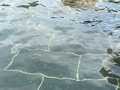 -山湖温泉