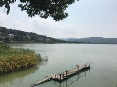 -梦缘水乡·湖景餐厅