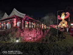 -白家大院·王府宫廷菜(苏州街店)