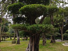 -南宁南湖公园