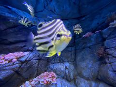 -成都浩海立方海洋公园