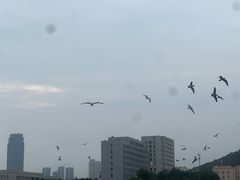 -黑石礁公园