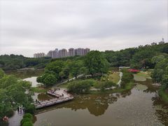 -东莞植物园